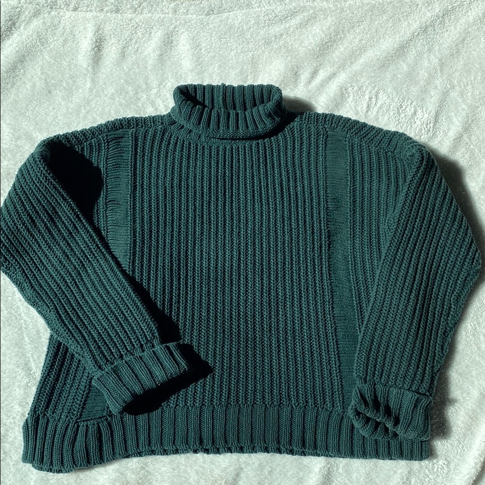 Express Green Turtleneck Sweater with Ribbed Knit